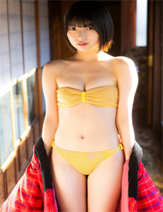 钢琴家